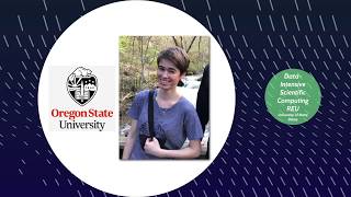 Exhaustive Heterogeneous Graphlet Counting for Network Alignment