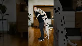 Our Story Begins With a Smile ❤️ #doglove #puppy #doggie #doglife #goldenretreiver #retreiver #dog