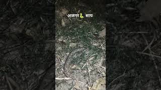 #ajgarsaap #snakes #ankonda #ka #bacchaparty #animation #memes #vlog #gaon  #soundeffects