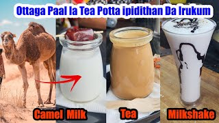 🐫Ottaga Paal🍼 la tea ☕Ipidi iruku@UrbanFeast21 FoodReviewTamil|#Tamilfoodvlogs#Shorts #camelmilktea