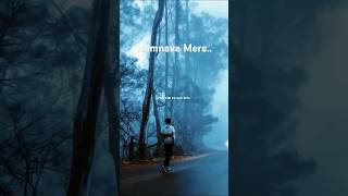 Humnava Mere Lyrics Song।  Feel This Masterpiece ❤️