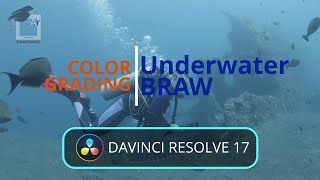 Black Magic Cinema 6k / daVinci Resolve 17  - Grading underwater BRaw. 1 - Prepare the best footage