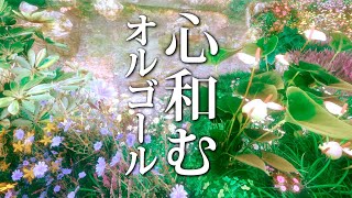 Relaxing Music Box - Calming Nostalgic Healing Music that Prepares the Autonomic Nerves