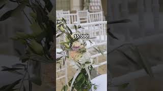 Will & Jada's Secret Wedding Costs Revealed! #celebrityweddings #youtubeshorts #fyp #hollywood