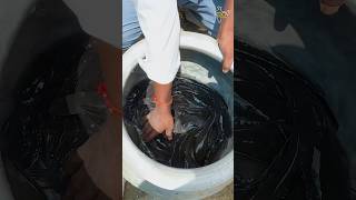 Jharkhandi Adivasi Style Tengra Fish Fry In Ranchi #jharkhand #shorts
