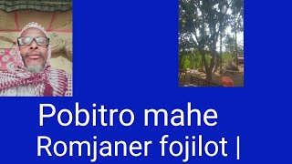 Pobitro mahe romjan