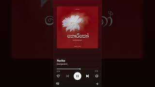 Norikoo | Gangadara #gangadarshan #ona_deyak_remix #aluthsindu #hitsinhalasong