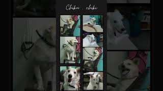 #music #slowed #beats # #@Mooddyvibes-j1z