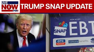 Trump says SNAP won't be paid until shutdown ends  | LiveNOW from FOX