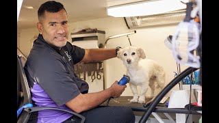 Marketing Video For Edward Pet Groomer