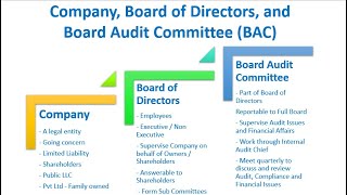 Company Board of Directors and Board Audit Committee BAC | What they are?