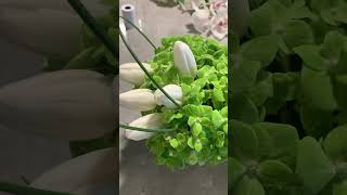 Gifts #flowers #viral #gift #youtubeshorts #ytshorts #youtube #yt #graduation #bhojpuri #india #rap