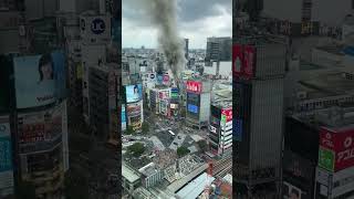 ビックリ　ドッキリ　仰天　動画
