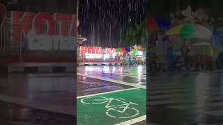 Raindrops for a Deep Sleep #SleepWell #SoundofRain #Meditation #SleepRelaxing