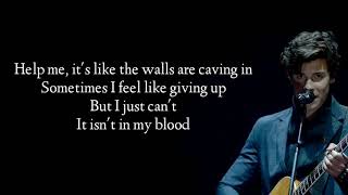 Shawn Mendes - In My Blood (Lyrics/ Lyrics video)
