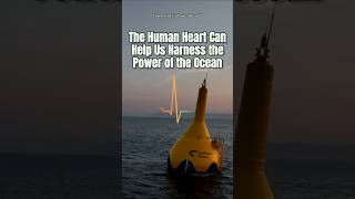 The Human Heart Can Help Us Harness the Power of the Ocean #getyourgreenon #thefutureisnow