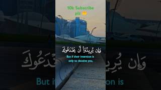 Quran Recitation with English Translation | #quranrecitation #quraninenglish