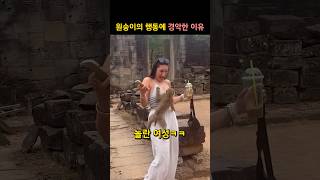 여성이 원숭이의 행동에 경악한 이유