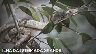 TOP AMAZING VIDEOS   2023