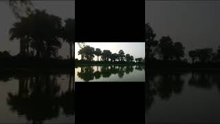 Pasoori #nature #short #pasoorisonglyrics #pasoorilyrics #amv #amvedit #amvedits#status#naturebeauty