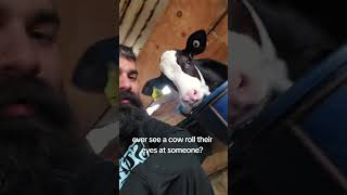 I never thought hugging a cow would feel like this 🐄❤️#love #cow #cute #fyp #funnyanimals #farm