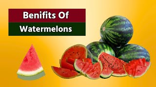 Benefits of watermelon 🍉 | why watermelons is amazing for your health?