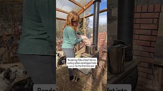 I took $10 worth of beef fat and turned into $125 worth of products  #homesteading #offgrid #diy