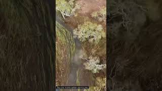 wonderful seen 😳 #crocodile#reels #shortsvideo #reelsinstagram #youtube #reelitfillit