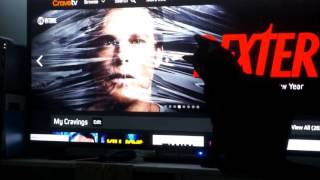 Cat vs TV