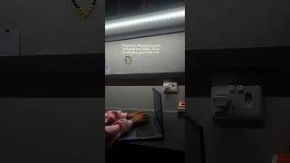 dreams ➝ goals ➝ reality