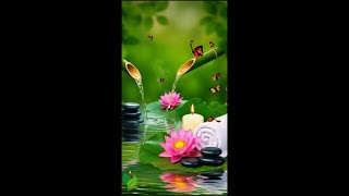 Tranquil Music| Relaxing Music | anxiety anddepressive | spa | musica para dormir | Nature #shots