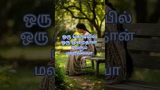 sonnathu neethana#oldclassicsongs#psusheela_hit_melodies #msvhits msvhitsongs #old #DreamScreenAI