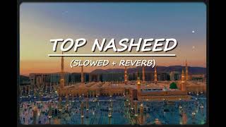 Top Nasheed (Slowed & Reverb) | Heart Touching Nasheed | Viral Nasheed | Exclusive Nasheed