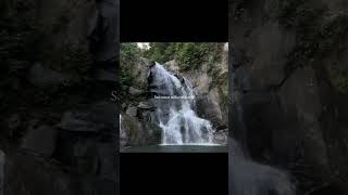 Tu aavega #lyricsreels #songlyrics #lyricsvideo #lyricalstatus #musicshorts