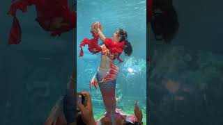 Tul Tuli babi #shorts  #ytshorts