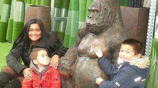 Filipino living in France (Jardiland)  Visiting a French garden centre ( Pinay life in France )