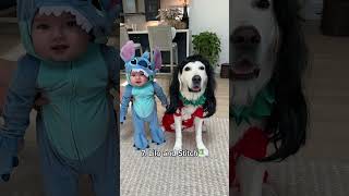Our Baby and Dog's Matching Halloween Costumes!
