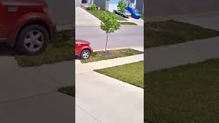 #incrediblethings #automobile #incrediblestories #comedy #incrediblemoments #youwontbelieve