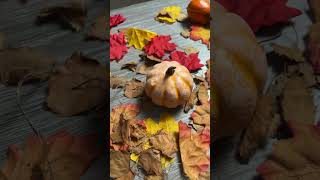 TIP 3. AUTUMN DRONE SHOTS // DJI Mini 4 Pro, Mini 3 Pro