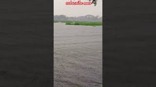 যদি কোন বাম্দা বৃষ্টির সময় আল্লার কাছে / #vrial_video #shortvideo #namaz #Ashiakitchen
