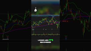 Cybersecurity Stocks  Palo Alto & CrowdStrike   Buy Now