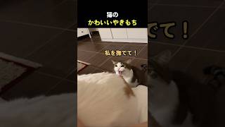 猫のかわいいやきもち