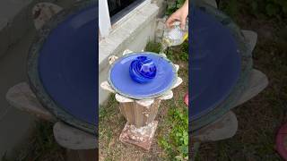 Curbside Rescue DIY!!! Lovely urn style planter turned birdbath and it was free!!! #curbsiderescue