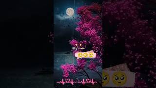 Jo taklif Na Samjhe😥💔#new #viral #besturdupoetry #shayari #shortvideo #shortsfeed #shortsviral #sad