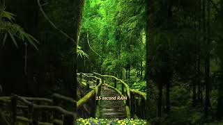 GN🌆 #rainsounds #rain #heavyrain #relax #asmr #relaxingsounds #sleepsounds #deepsleep  #sleep