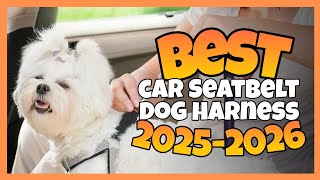 TOP 3:✅BEST CAR SEATBELT DOG HARNESS 2025-2026 #dogharness #cardogharness #doglashes #harness #car