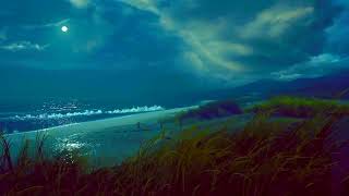 Ocean Sounds For Sleeping |3 hours of Relaxing Ocean Ambience| Ocean Waves & Wind White Noise 🌊