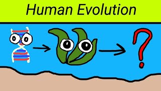 Human Evolution : การวิวัฒนาการสุด EPIC ของสิ่งมีชีวิต #1(เกมมือถือ)   🦠 🌱 🐚 🐟 🦎 🦧