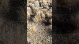 Above the Clouds to Snow Farm #SnowFarmNZ #Cardrona #AboveTheClouds #VisitNZ #TravelNZ #NZMustDo #nz