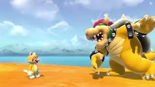 Purple plays Nintendo switch Bowser ‘s fury video 31